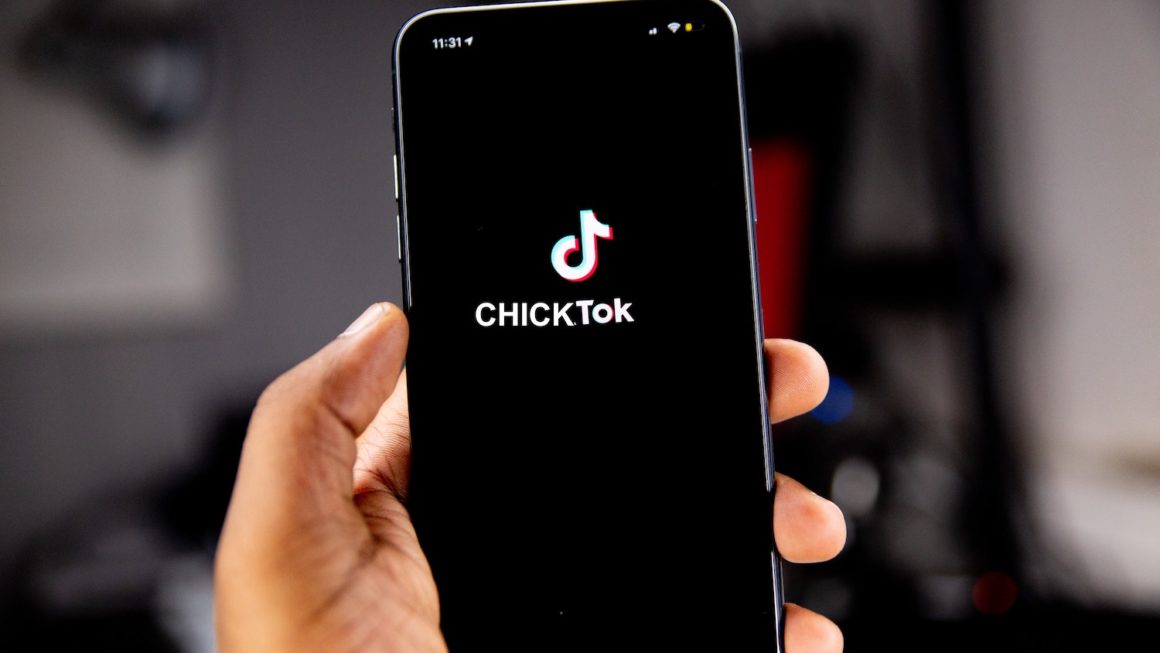 ChickTok #1 : La compil dédiée des TikTok au poulet